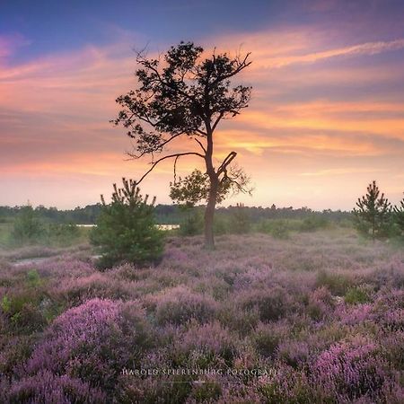 Natuurhuisje Oisterwijk Villa Esterno foto