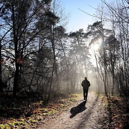 Natuurhuisje Oisterwijk Villa Esterno foto