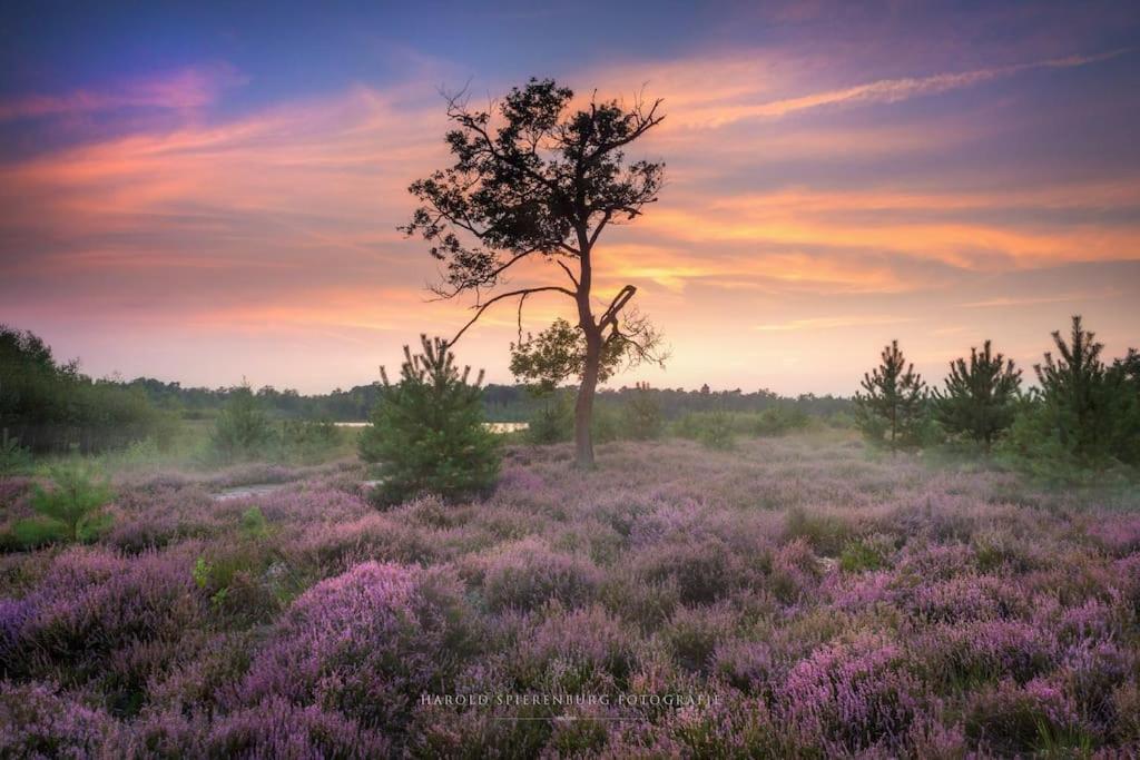 Natuurhuisje Oisterwijk Villa Esterno foto