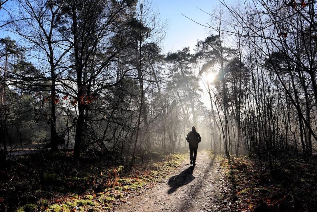 Natuurhuisje Oisterwijk Villa Esterno foto