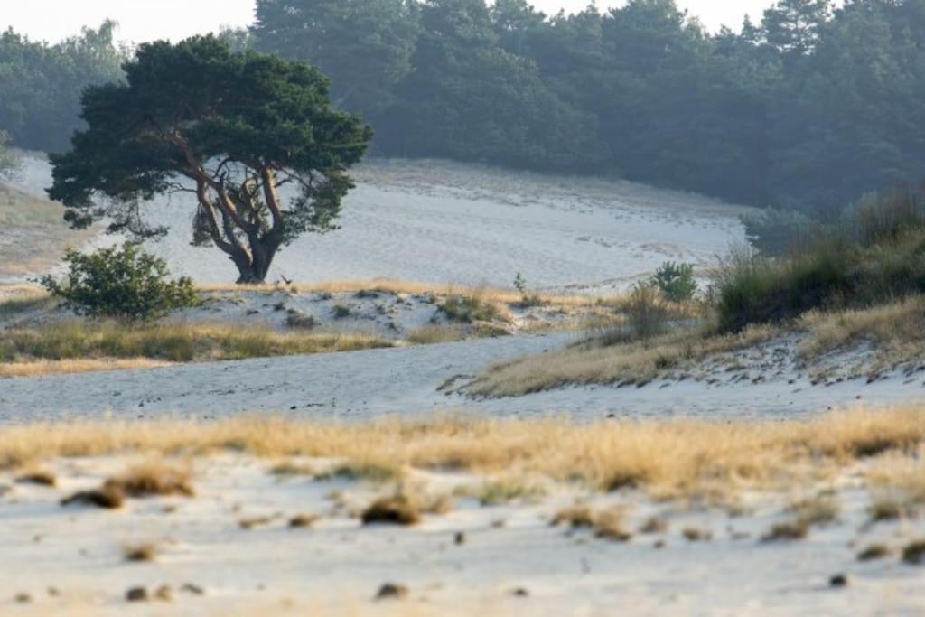 Natuurhuisje Oisterwijk Villa Esterno foto