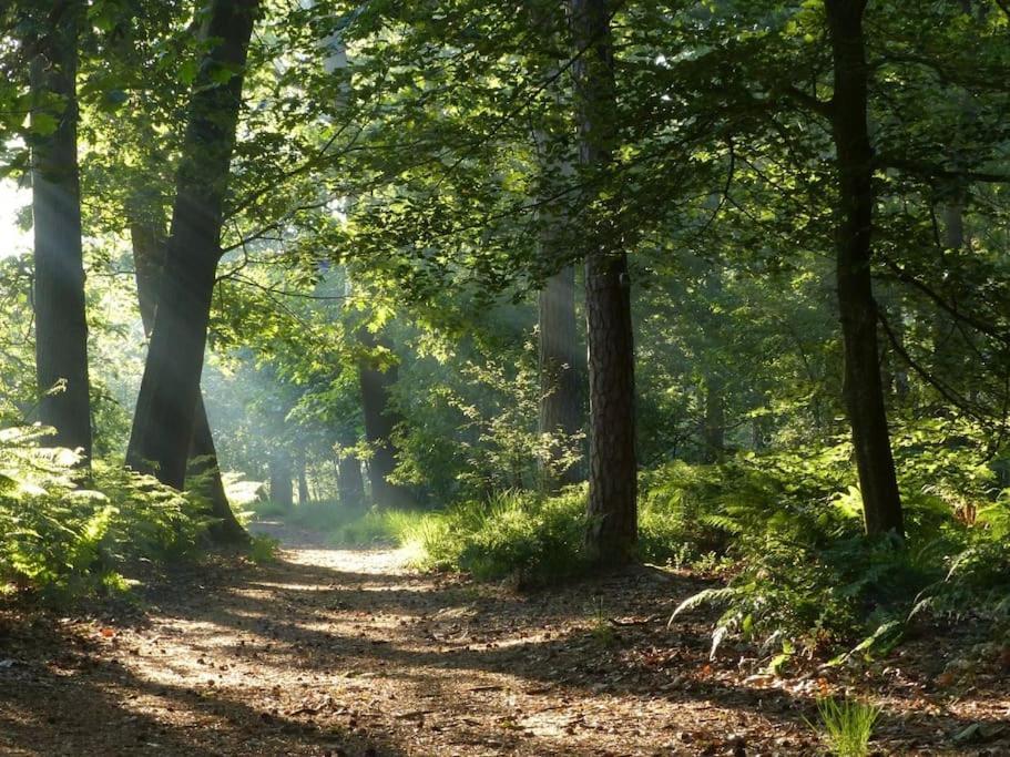 Natuurhuisje Oisterwijk Villa Esterno foto