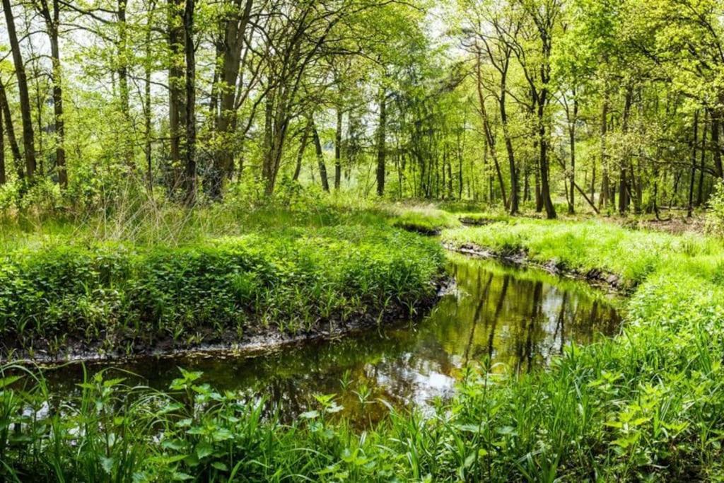 Natuurhuisje Oisterwijk Villa Esterno foto