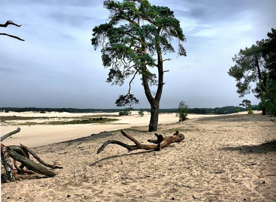 Natuurhuisje Oisterwijk Villa Esterno foto